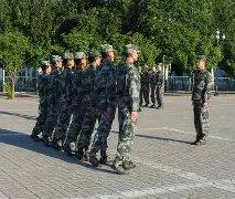 足球直播_临场指挥果断，教练调整效果明显(临场指挥能力主要由哪几个方面构成)